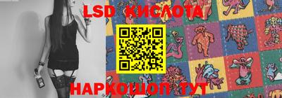 дживик Можга